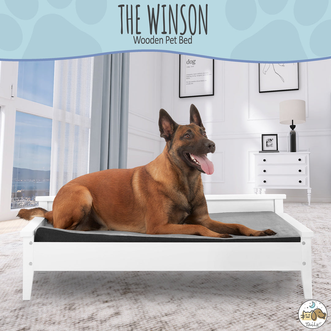 Winston Large Elevated Wooden Pet Bed with Mattress, White