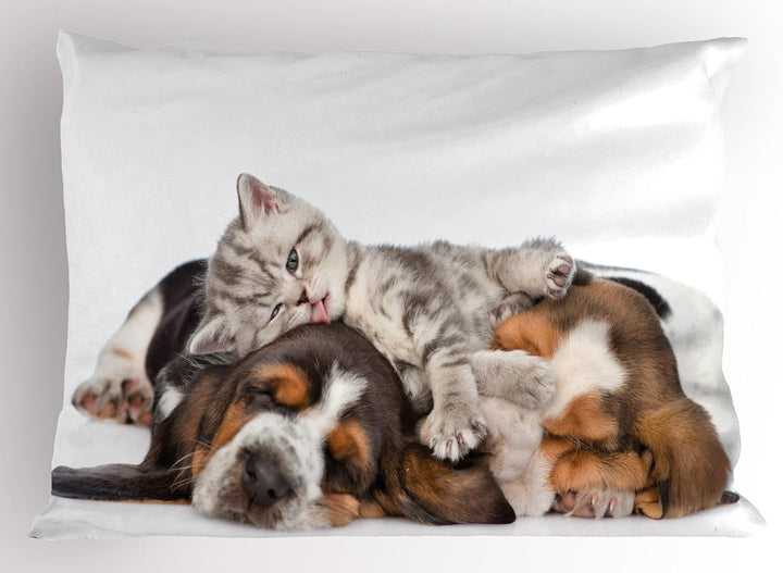 Funny Pillow Sham, Kitten Lying on the Puppies Basset Hound and Licks Sleeping Cuddle Picture, Decorative Standard Size Printed Pillowcase, 30" X 20", Brown White