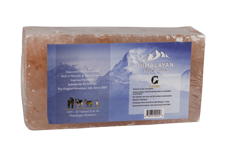 Gatsby 100% Natural Himalayan Rock Salt Brick - 4Lb