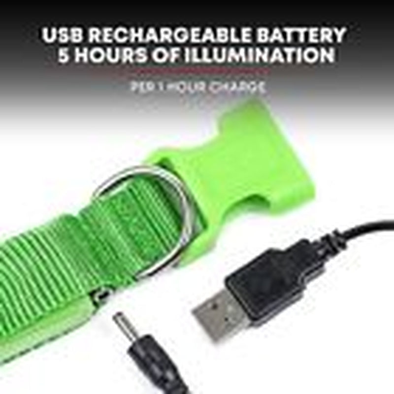 LED Dog Collar USB Rechargeable - Bright & Small (S) - 13" - 17" Neon Green