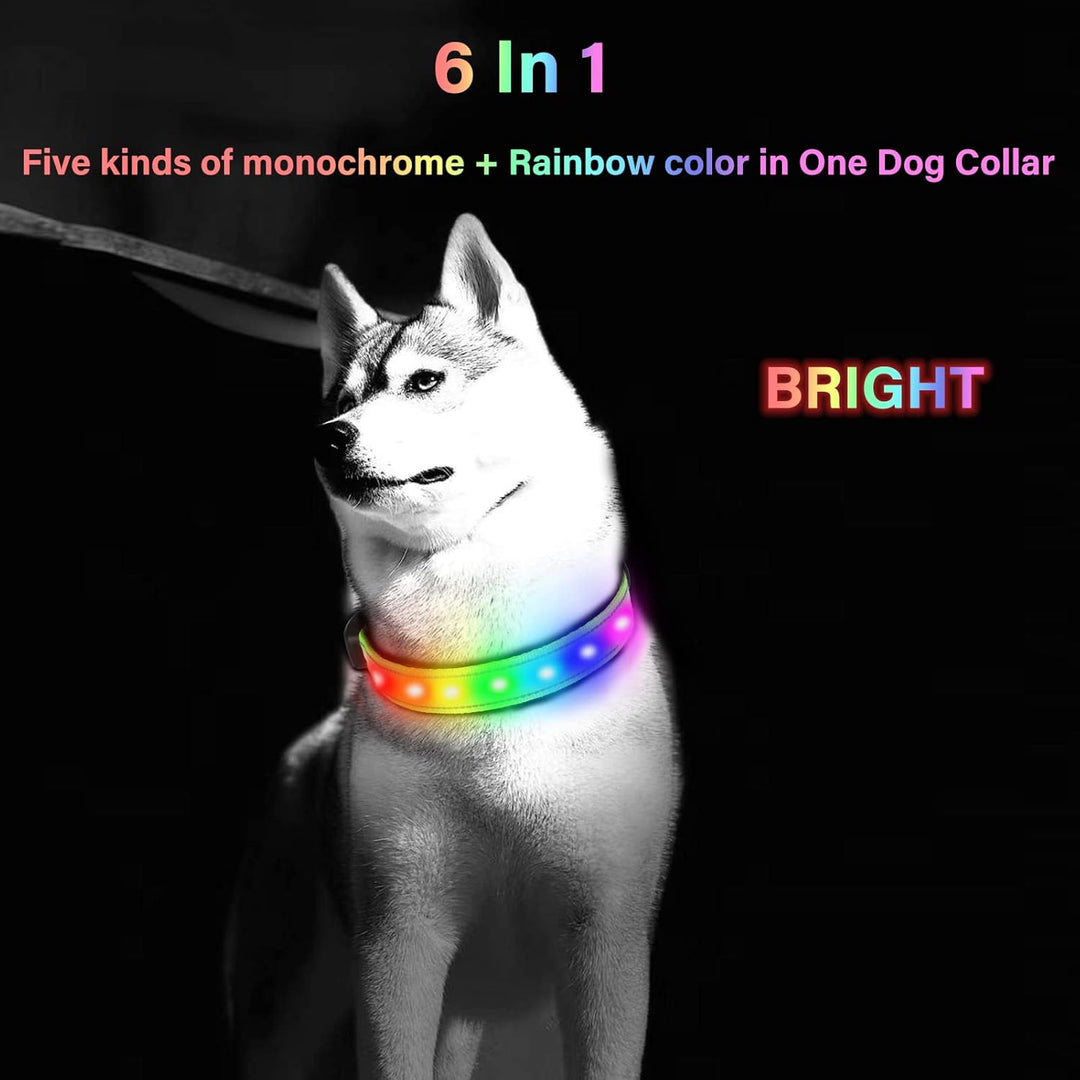 Led Dog Collar Adjustable Light up Dog Collars USB Rechargeable Changeable Luminous Pet Collars(S (14.7-15.8 In)