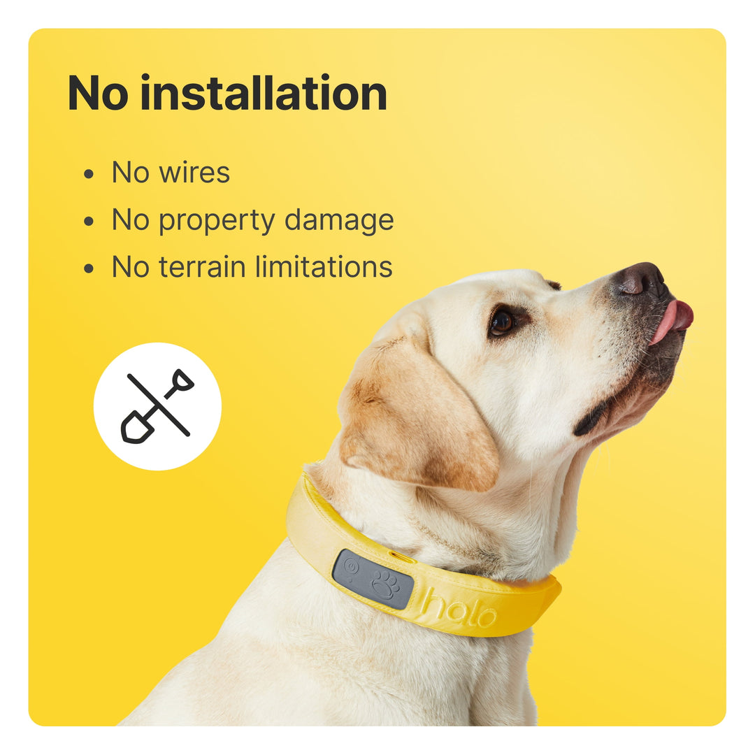 3 - Wireless GPS Dog Fence & Training Collar with Real-Time Tracking, Waterproof