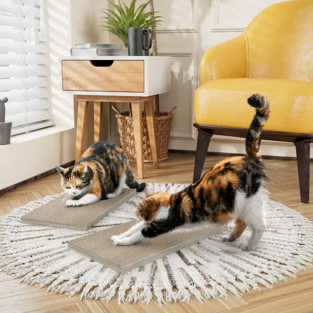 Eco Zboard Aspen Grey Premium Cat Scratcher (2-Pack)