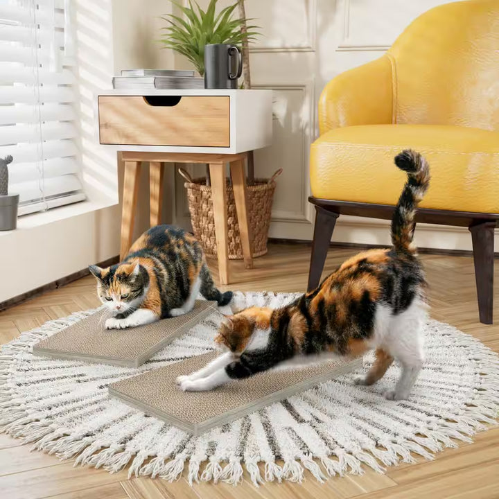 Eco Zboard Aspen Grey Premium Cat Scratcher (2-Pack)