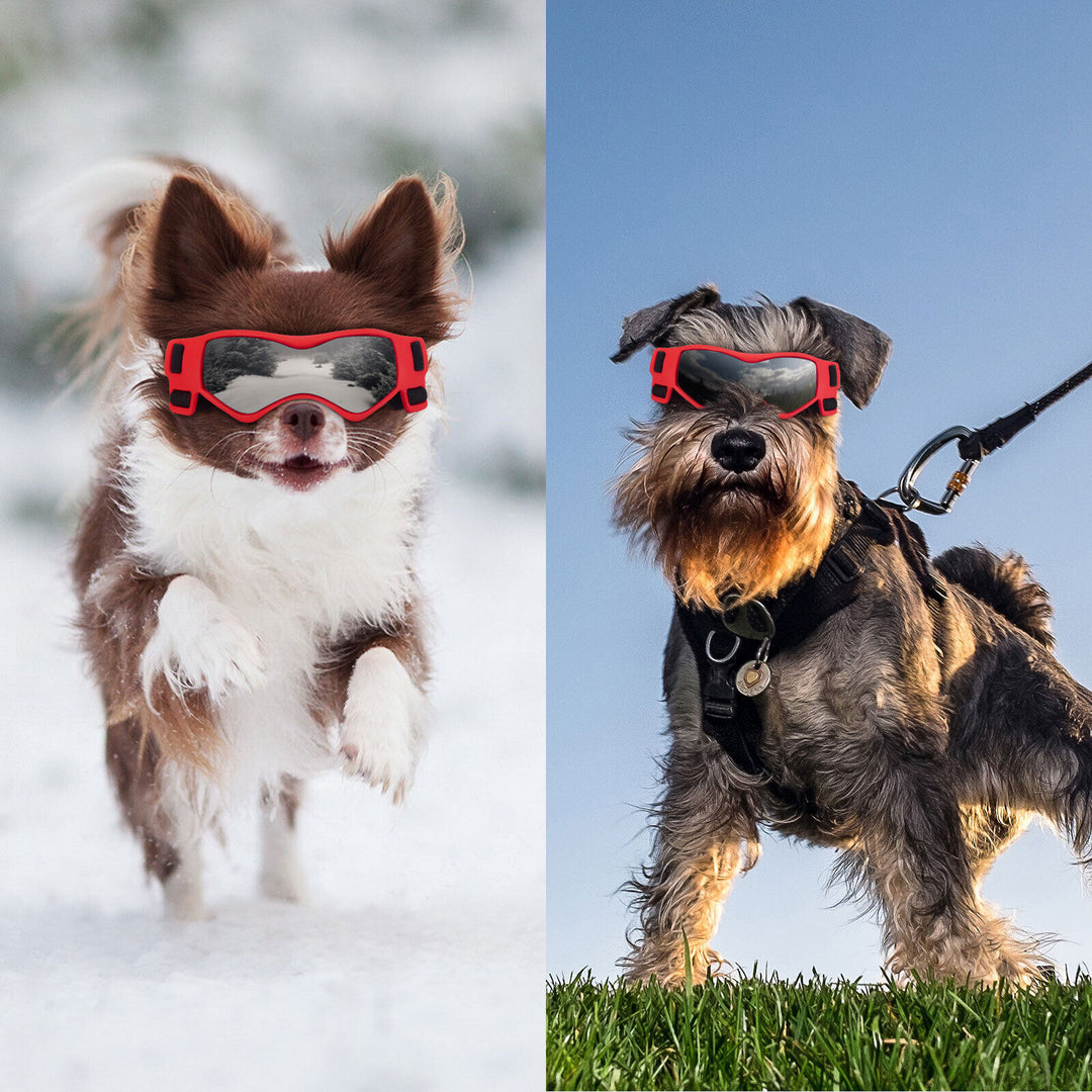 Pet Dog Goggles Glasses Snow Windproof UV Protection Sunglasses for Small Dog