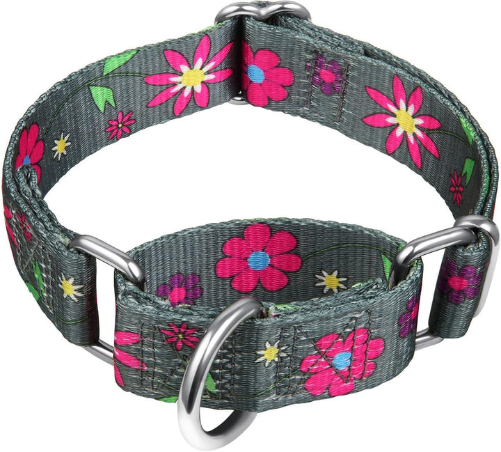 Martingale Collar Floral Print Dog Collar - No Pull Pet Collar, Heavy Duty Adjustable Dog Collar, Medium, Neck 14 Inch -21 Inch, Sun Flower (Graphite Grey)