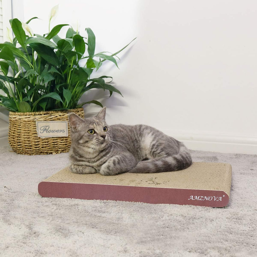 Cat Scratch Lounge, Durable Cardboard, Colors Series, Wide, Wood Floor Print