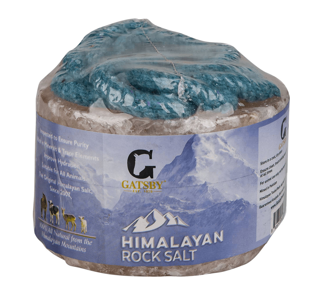 Gatsby 100% Natural Himalayan Rock Salt Lick for Horses