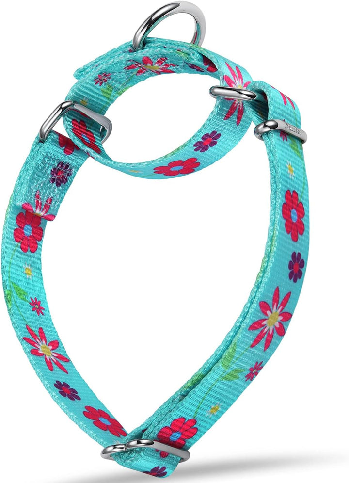 Martingale Collar Floral Print Dog Collar - No Pull Pet Collar, Heavy Duty Adjustable Dog Collar, Medium, Neck 14 Inch -21 Inch, Sun Flower (Teal)