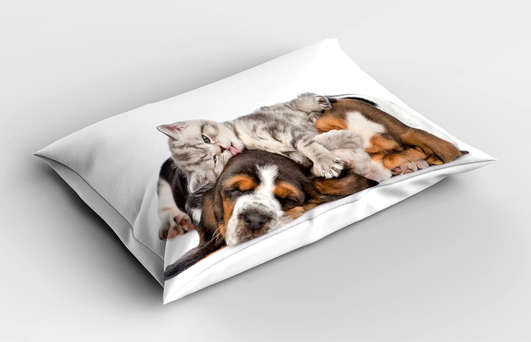 Funny Pillow Sham, Kitten Lying on the Puppies Basset Hound and Licks Sleeping Cuddle Picture, Decorative Standard Size Printed Pillowcase, 30" X 20", Brown White