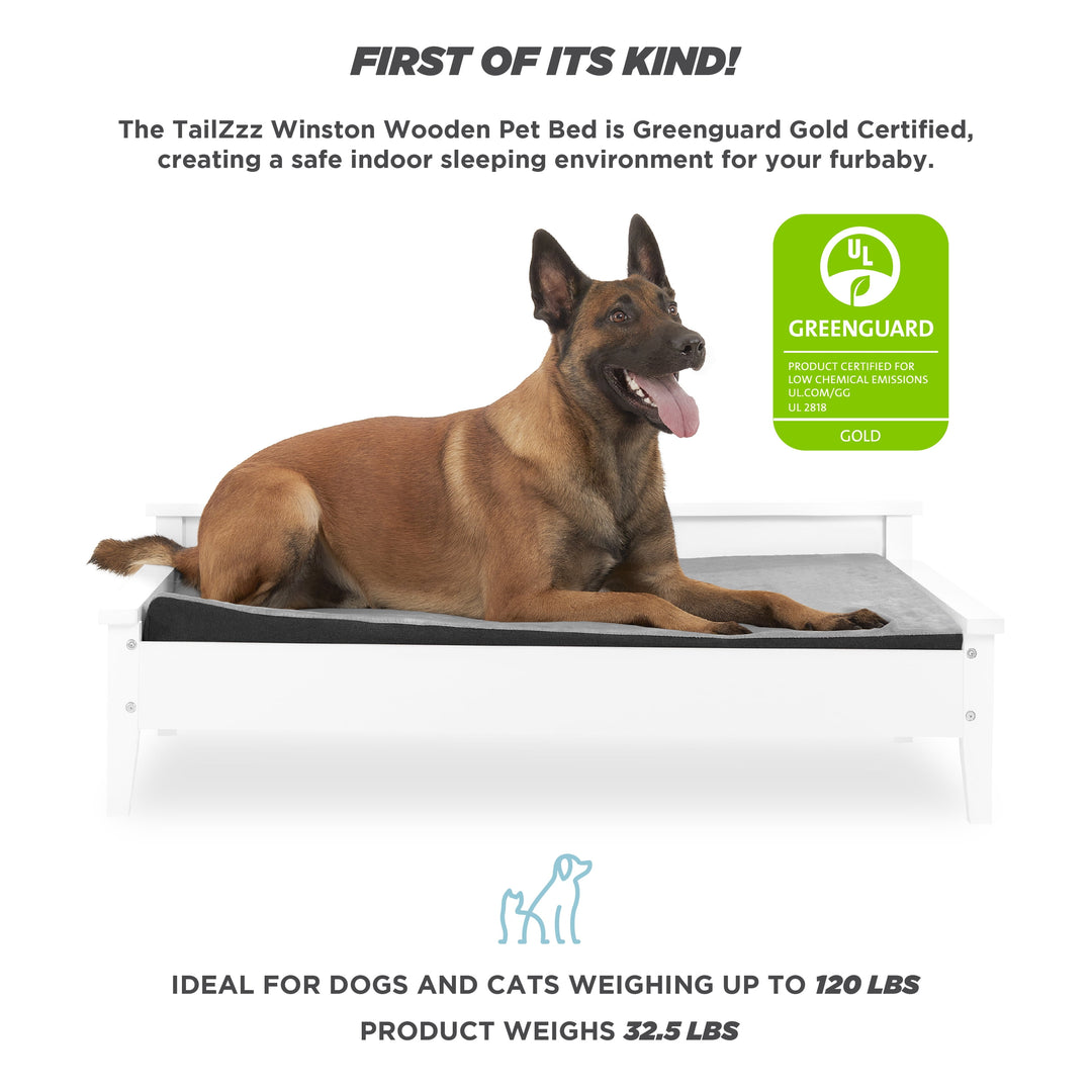 Winston Large Elevated Wooden Pet Bed with Mattress, White