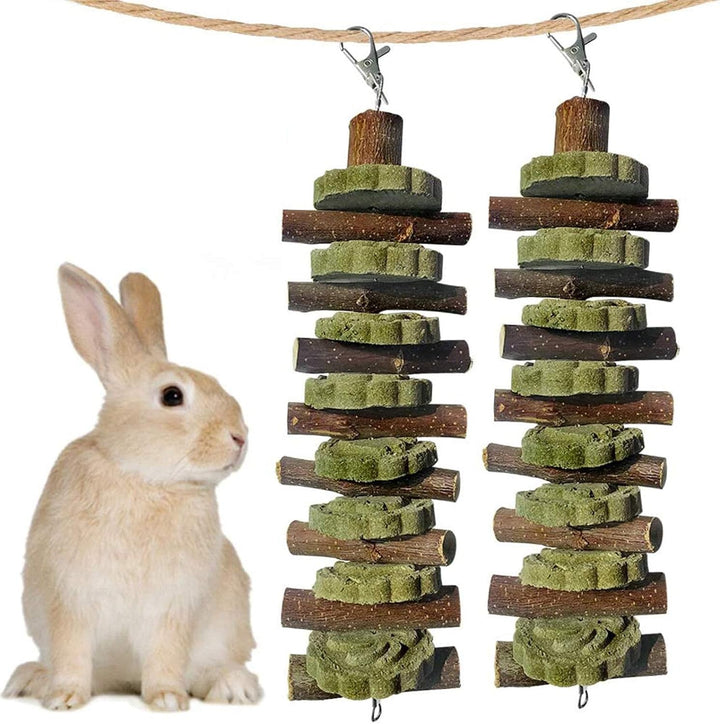 2PCS Bunny Chew Toys for Teeth Grinding, Chinchilla Treats Organic Bamboo Sticks Natural Fruitwood Branches for Rabbits Guinea Pigs Hamsters (Fruitwood Sticks+Alfalfa Cakes)