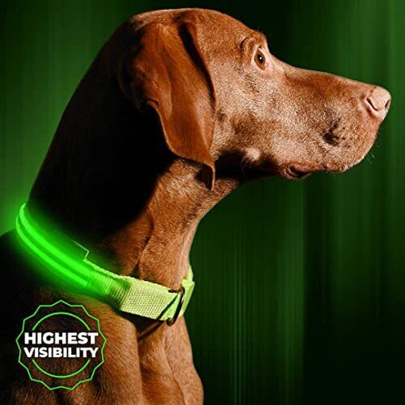 LED Dog Collar USB Rechargeable - Bright & Small (S) - 13" - 17" Neon Green