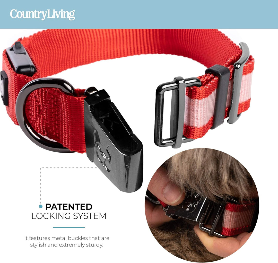 Light up Dog Collars, LED USB Rechargeable Dog Collar, Waterproof & Durable (Red,S)