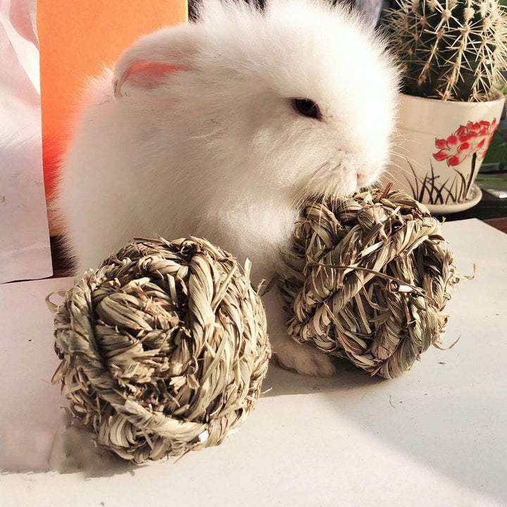 Rabbit Chew Ball Timothy Grass Grinding Small Animal Activity Play Chew Toys for Bunny Rabbits Hamster Guinea Pigs Gerbils