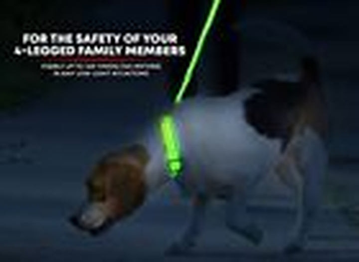 LED Dog Collar USB Rechargeable - Bright & Small (S) - 13" - 17" Neon Green