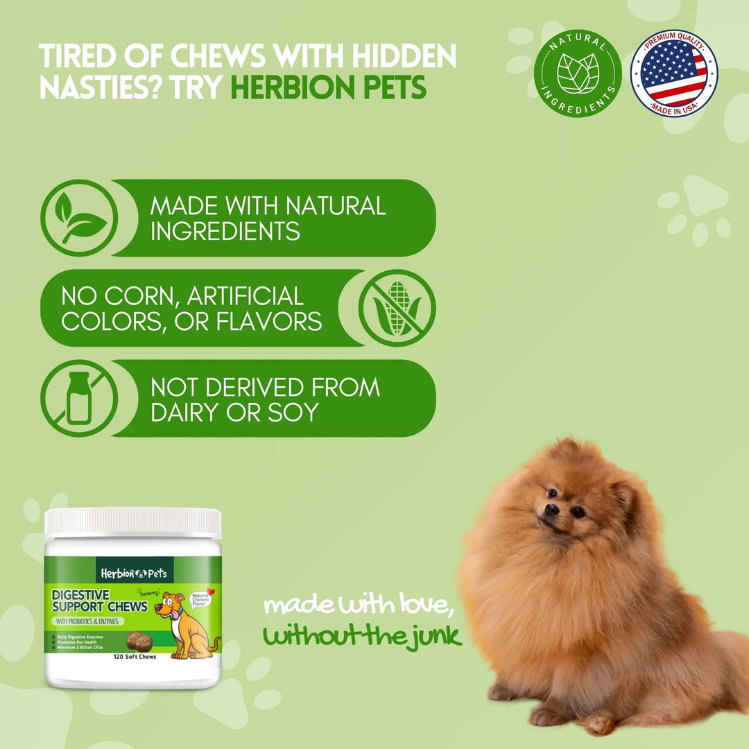 Pets Digestive Support Chews with Probiotics and Enzymes, 120 Soft Chews - with Daily Digestive Enzymes - for Improved Gut Health - Minimum 2 Billion Cfus - Made in USA - for Dogs 12 Weeks+