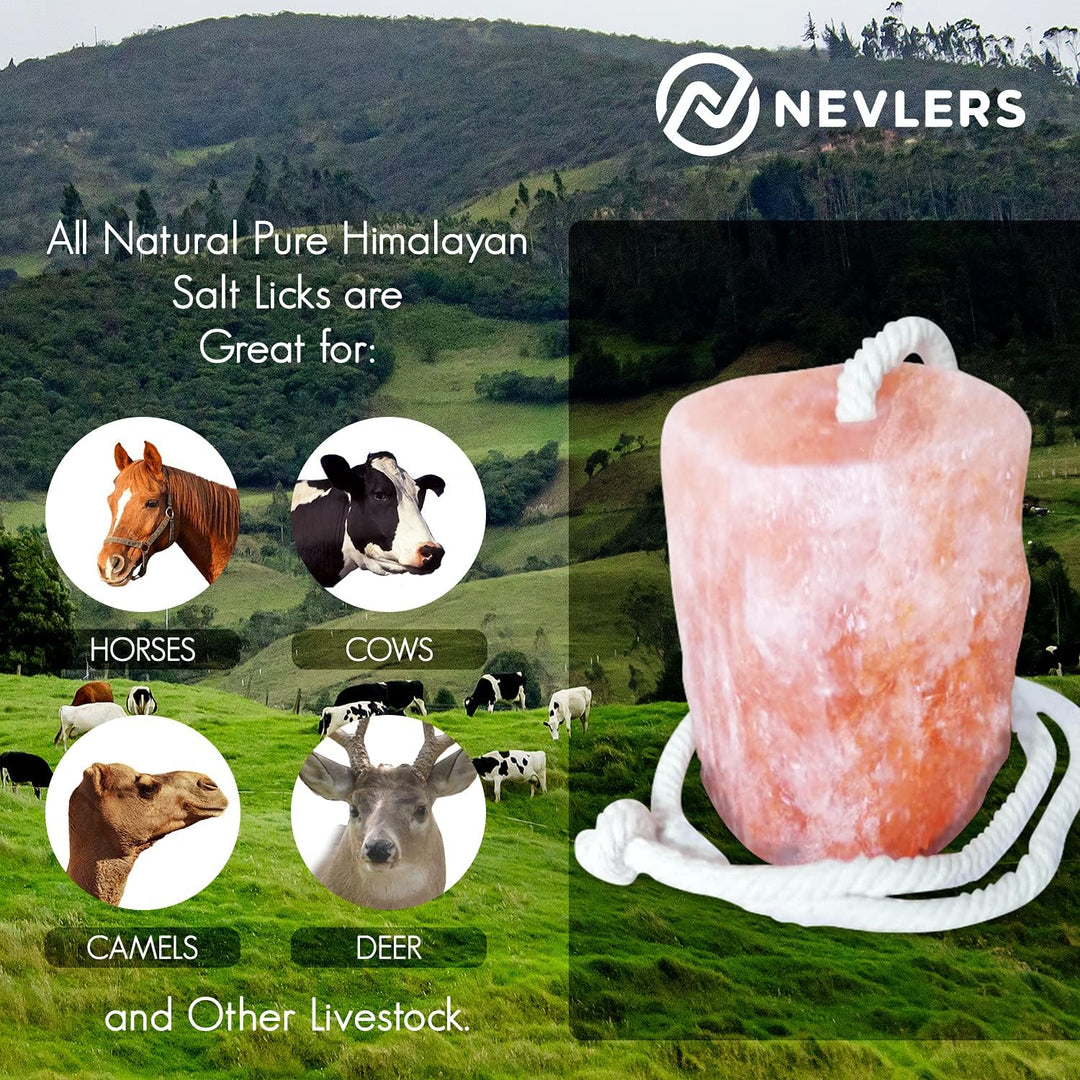 3 Pack All Natural Pure Himalayan Salt Licks for Animals - 4.5-6.5 Lbs Each - Ropes Included - Great for Horses, Cows, Deer, Camel and Other Livestock