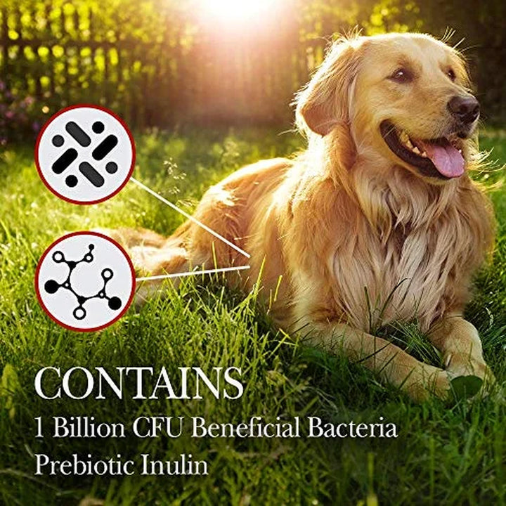 Pre/Probiotic Immune Supporting Soft Chews for Dogs - 120 Ct.