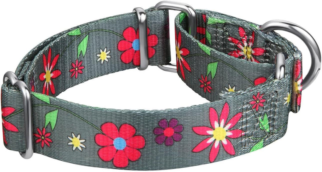 Martingale Collar Floral Print Dog Collar - No Pull Pet Collar, Heavy Duty Adjustable Dog Collar, Medium, Neck 14 Inch -21 Inch, Sun Flower (Graphite Grey)