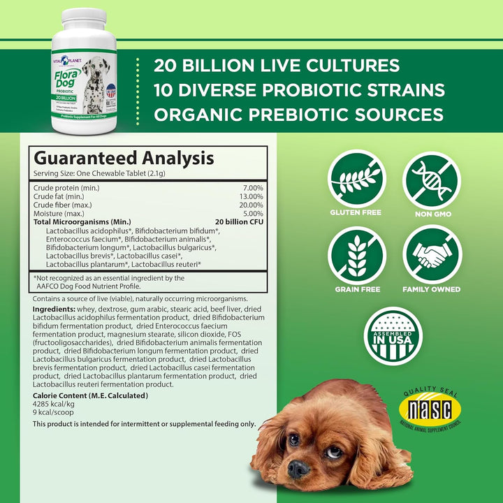 - Flora Dog Probiotic Chewable Tablets Supplement with 20 Billion Cultures and 10 Strains, High Potency Immune and Digestive Support Probiotics for Dogs, 30 Beef Flavored Chewable Tablets